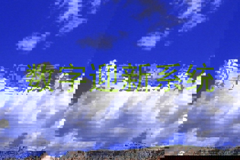 数字迎新系统