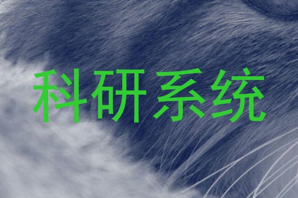 科研系统