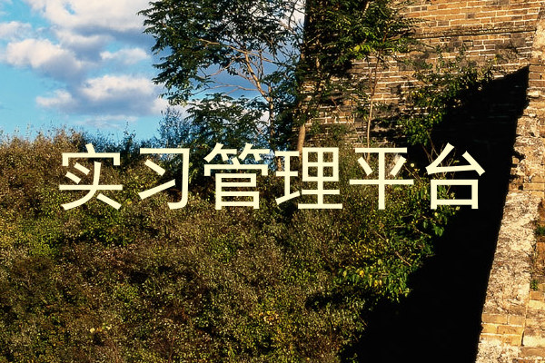 实习管理平台