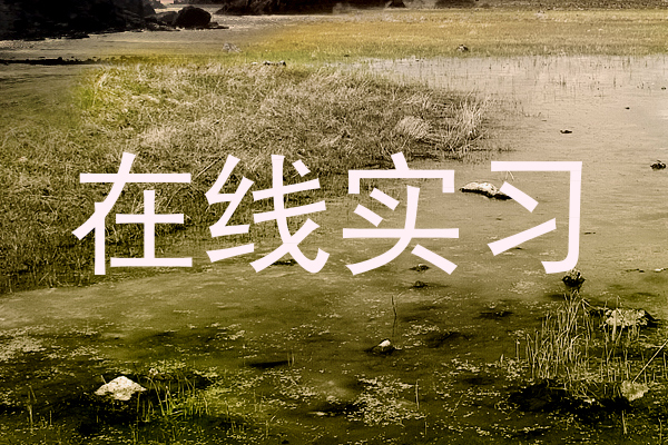 在线实习