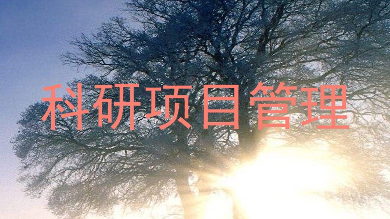 科研项目管理