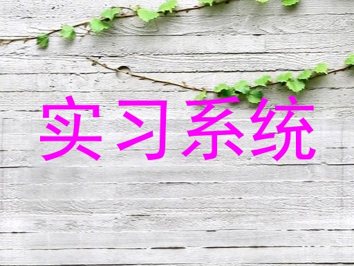 实习系统