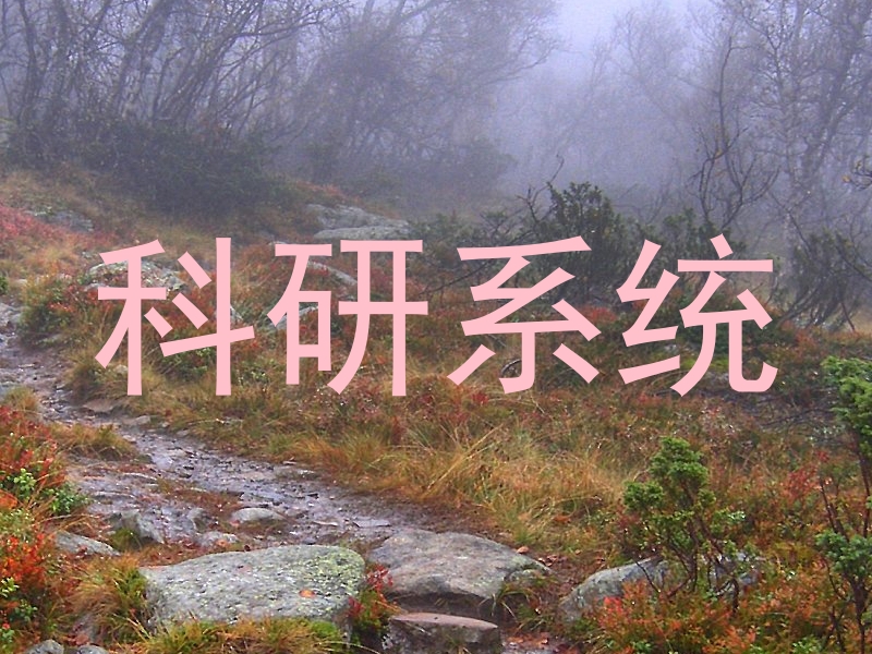 科研系统