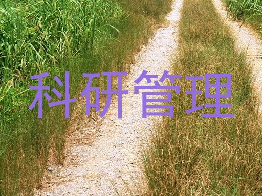 科研管理