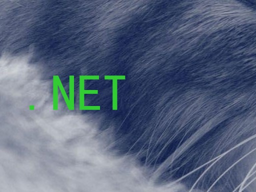 .NET