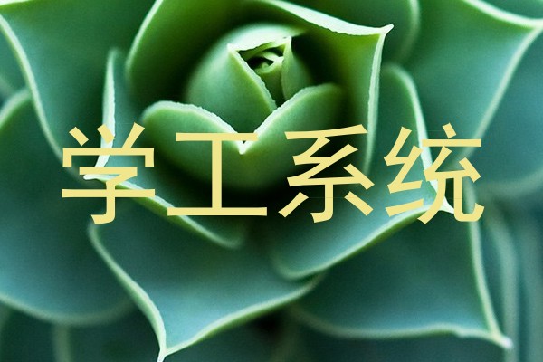 学工系统