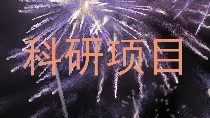 科研项目