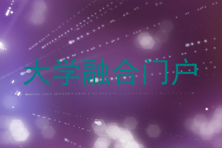 大学融合门户