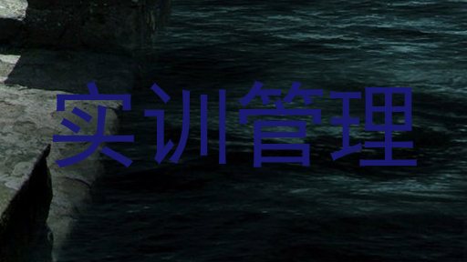 实训管理