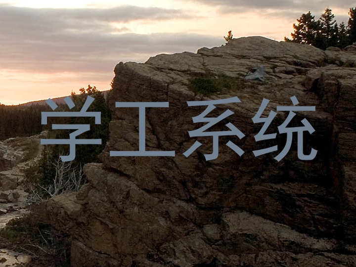 学工系统