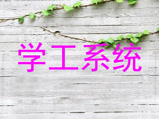 学工系统