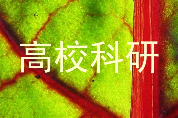高校科研