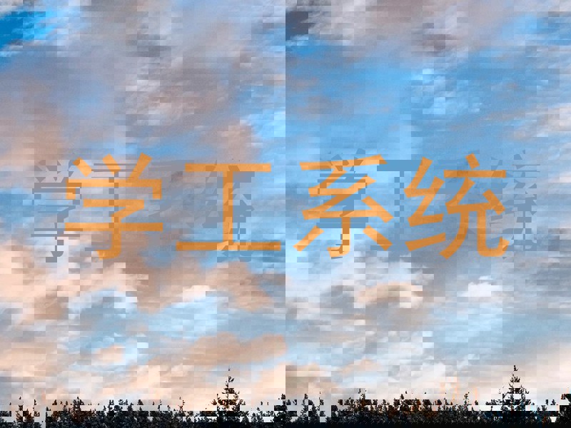 学工系统