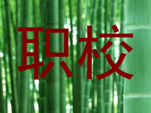 职校