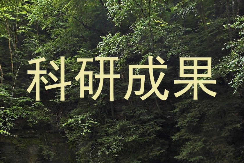 科研成果