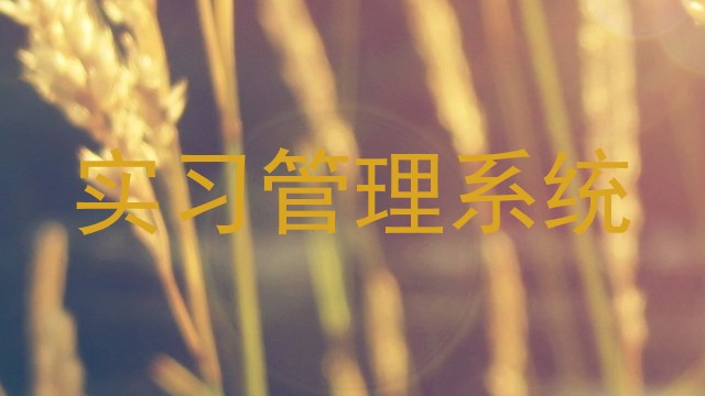 实习管理系统