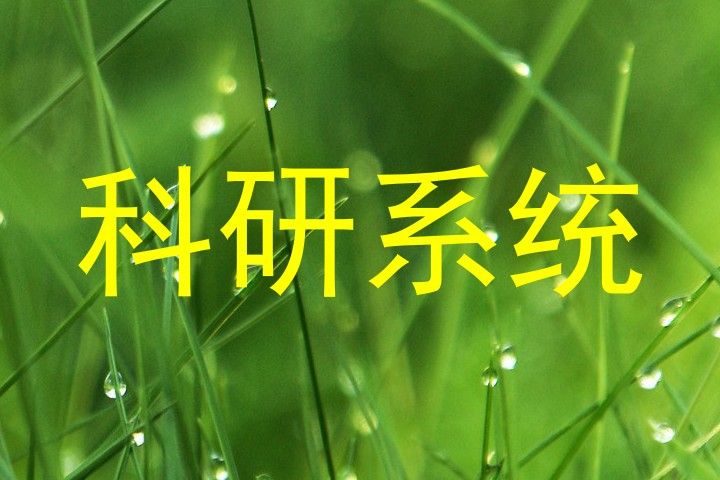 科研系统