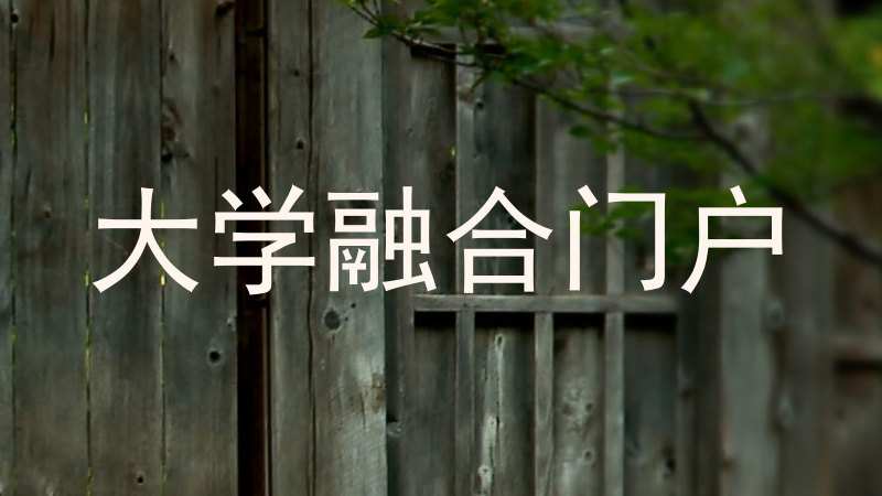 大学融合门户