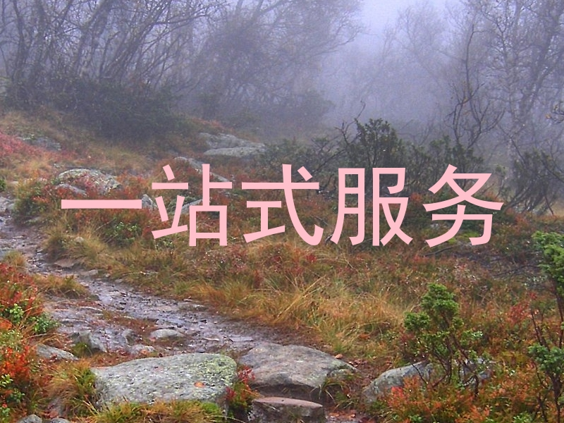 一站式服务