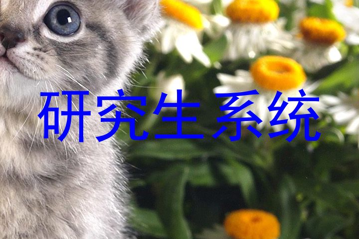 研究生系统