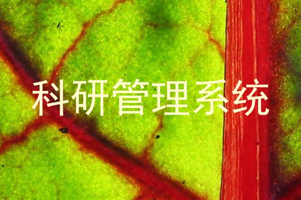 科研管理系统