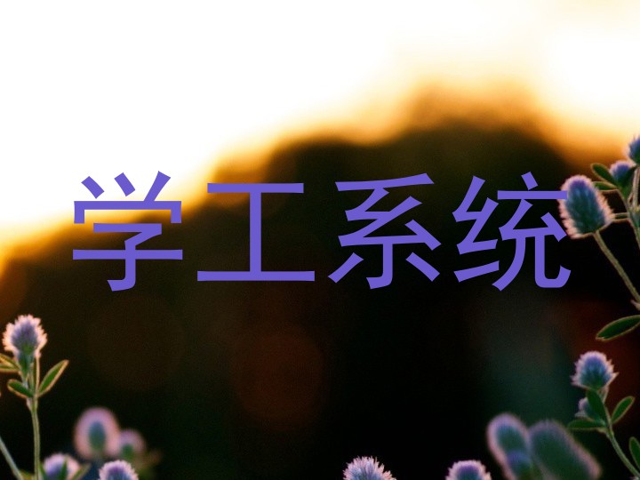 学工系统