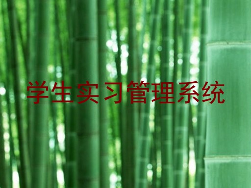 学生实习管理系统