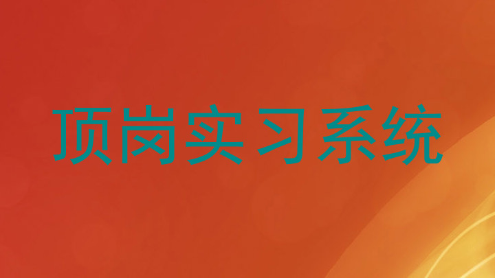 顶岗实习系统