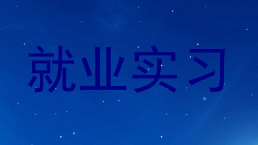 就业实习