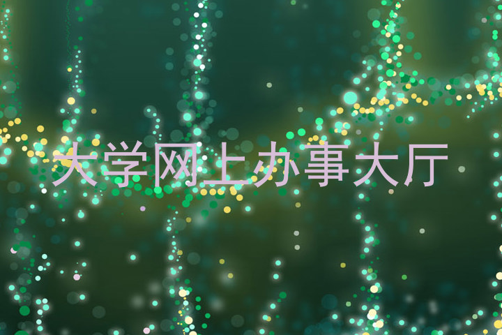 大学网上办事大厅