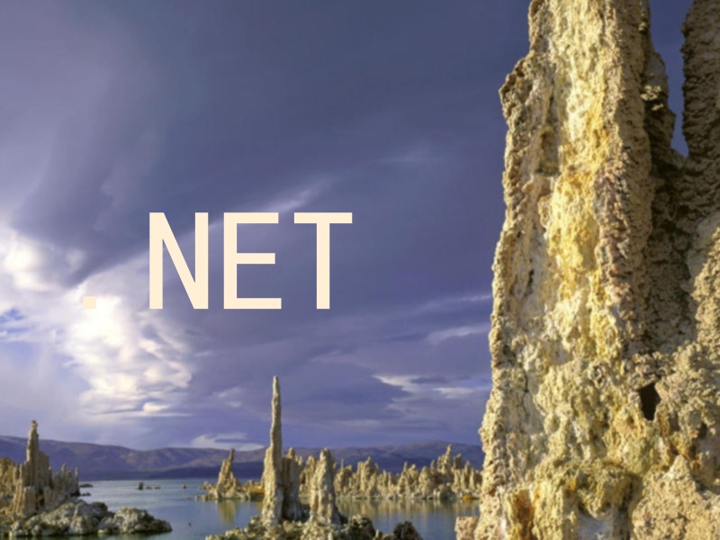 .NET
