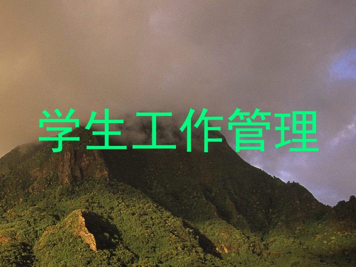 学生工作管理