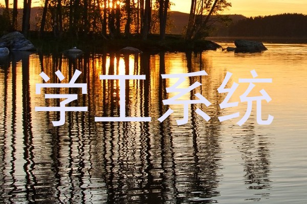 学工系统