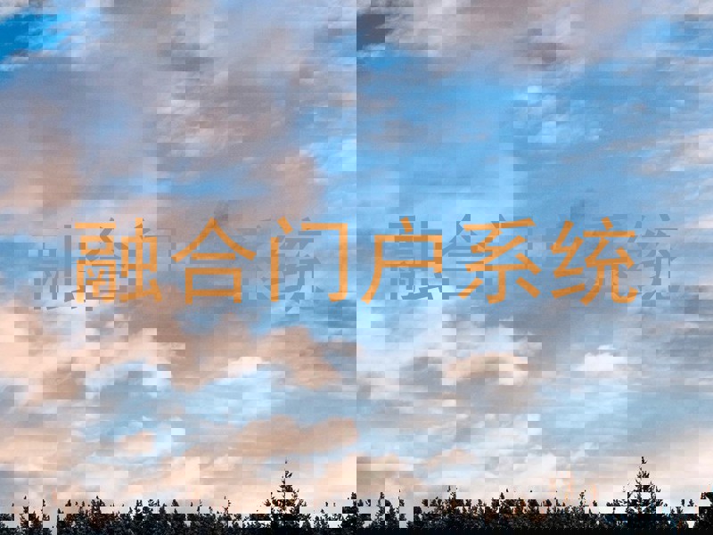 融合门户系统