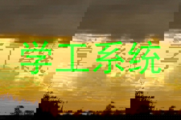 学工系统