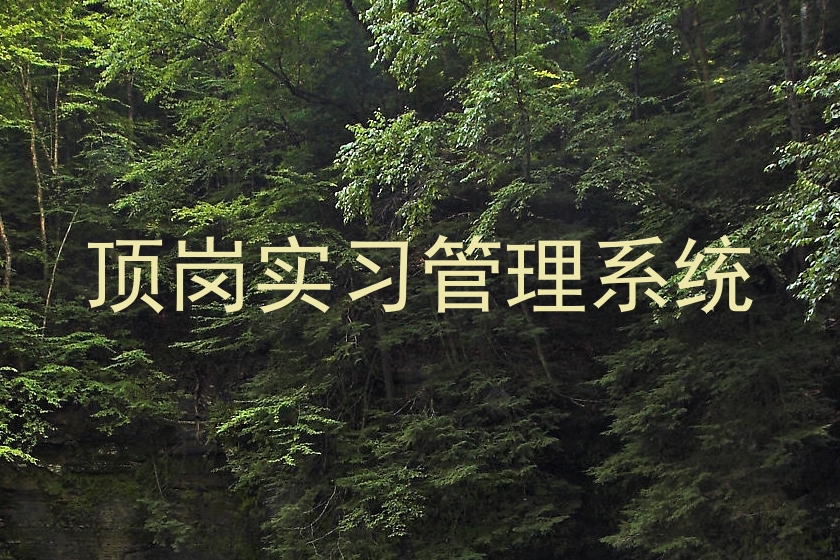 顶岗实习管理系统