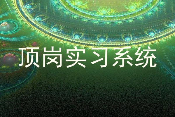 顶岗实习系统
