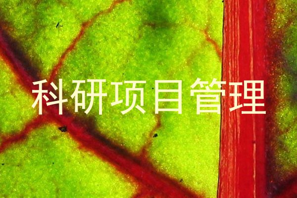 科研项目管理