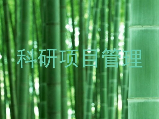 科研项目管理