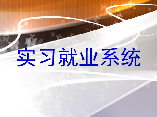 实习就业系统