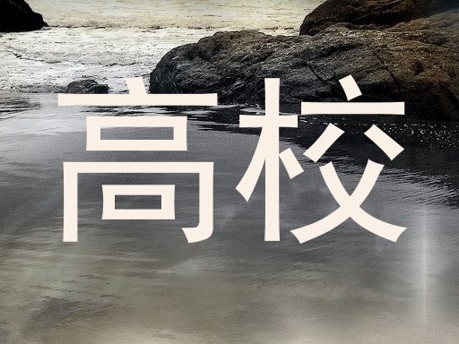 高校
