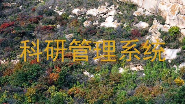 科研管理系统