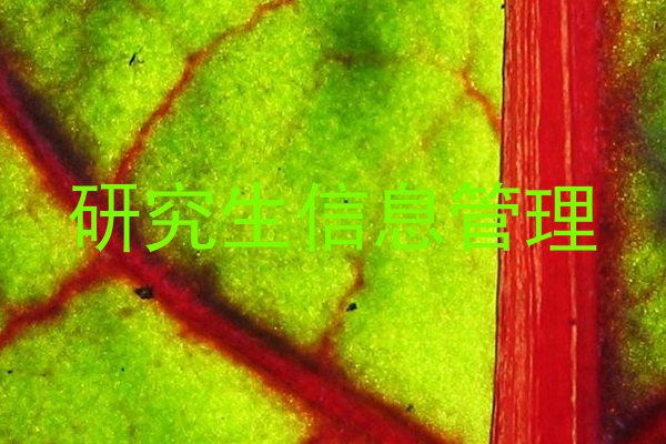 研究生信息管理