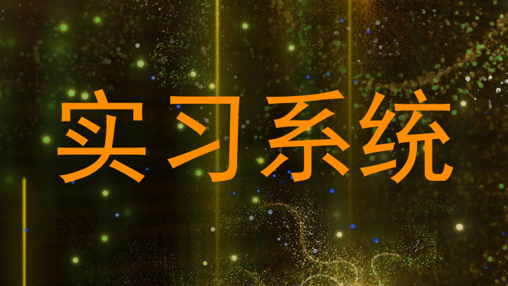 实习系统