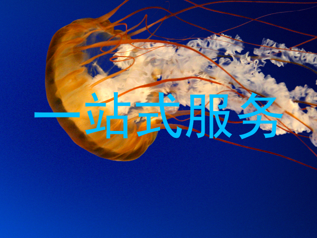 一站式服务