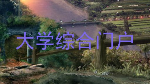 大学综合门户