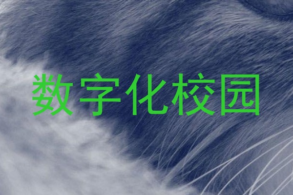 数字化校园