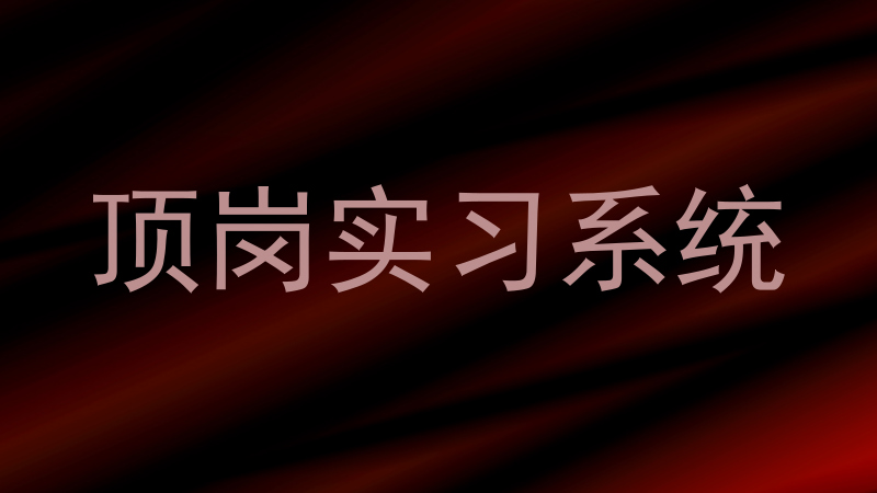 顶岗实习系统