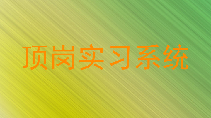 顶岗实习系统