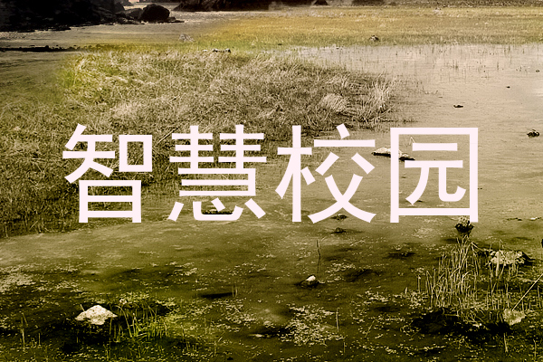 智慧校园
